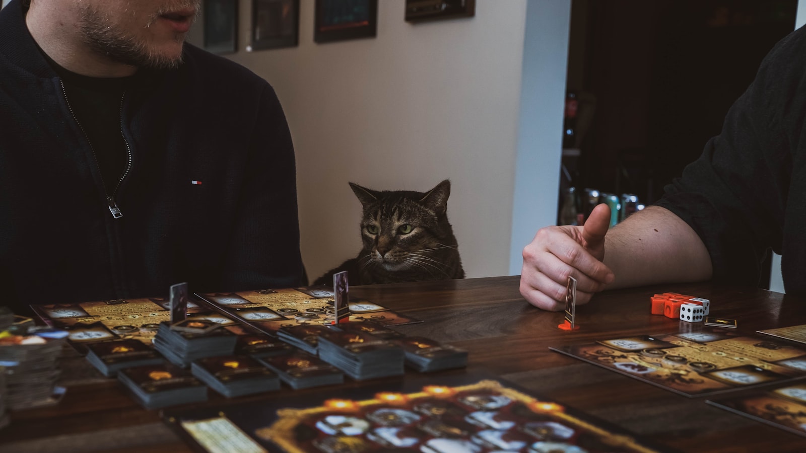 A cat sitting at the table between two board game players